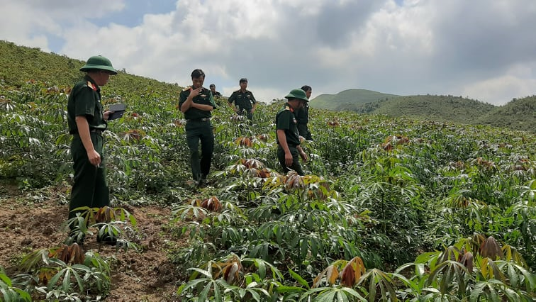 Loạt bài: 